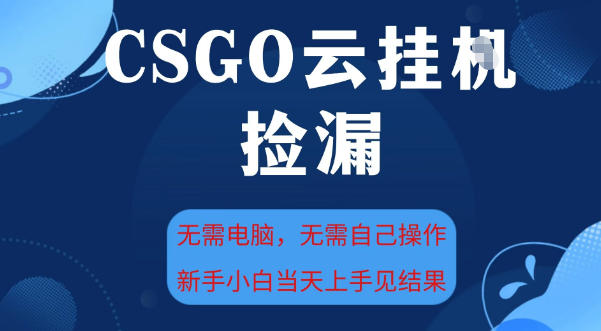 CSGO云挂G全自动捡漏，最新独家玩法，无需电脑操作，新手小白日入5张+【揭秘】-网赚项目众筹网
