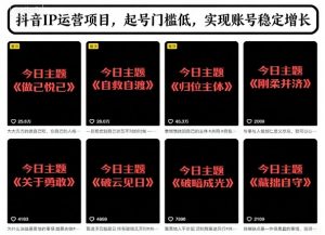 抖音IP运营项目,抖音今日主题玩法,起号门槛低,实现账号稳定增长-网赚项目众筹网