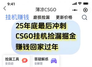 12月年底抓紧最后一个月,用CSGO游戏挂G捡漏掘金賺钱掘金,一部手机轻松日入5张+【揭秘】-网赚项目众筹网