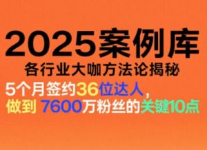 2025案例库,收录各行业大咖的方法论,各行业大咖方法论揭秘-网赚项目众筹网