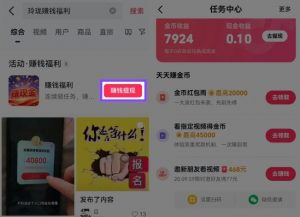 捡钱项目!抖音賺钱小程序拉新活动,抖音端内宣发拉新,一单3米,有人半个月搞了1W+-网赚项目众筹网